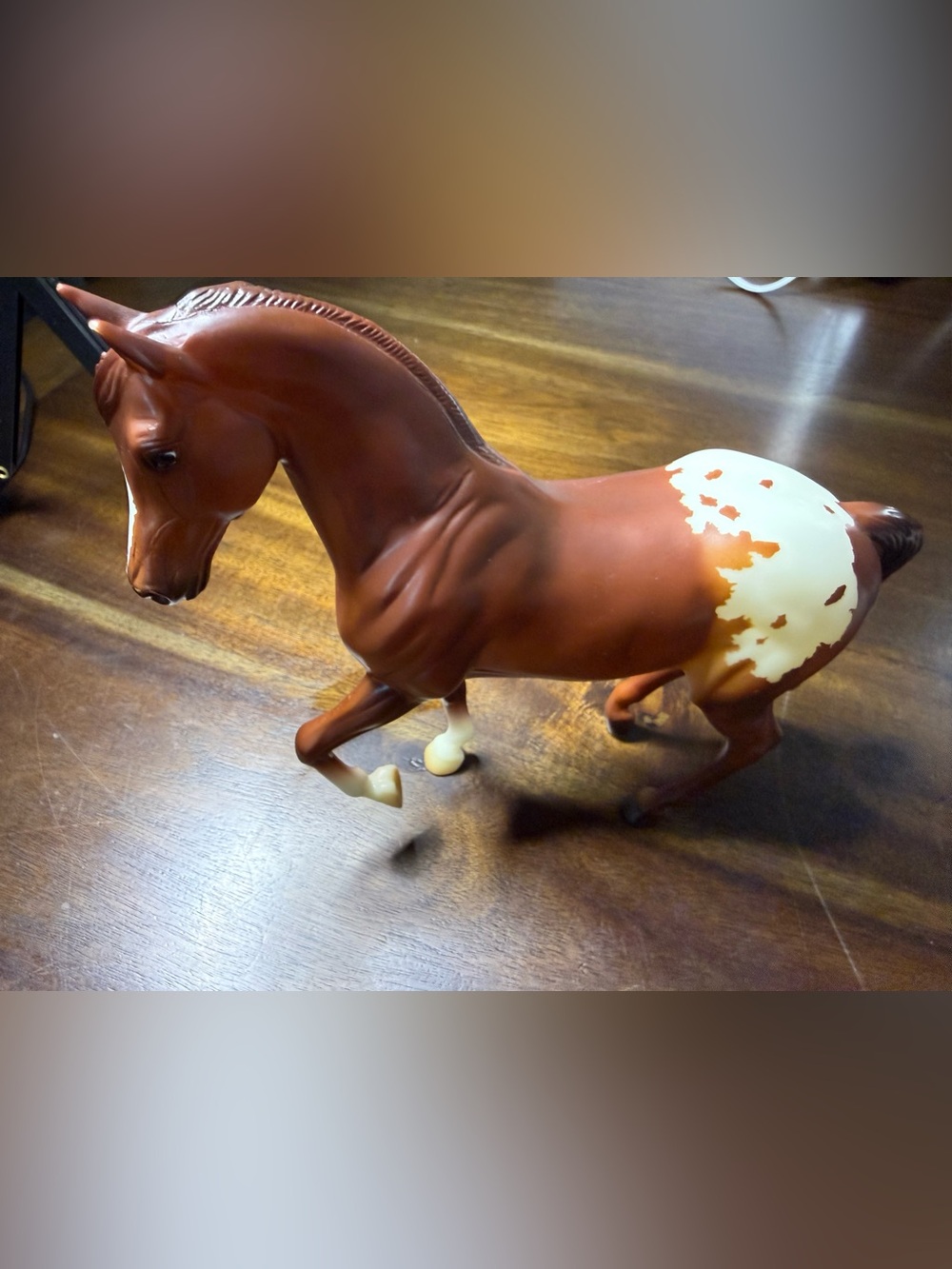 Breyer Classic Chestnut Appaloosa-Warmblood Stallion Mold